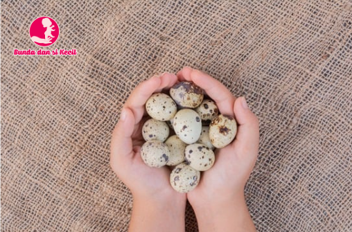 Panduan Memberikan Telur Puyuh untuk Si Kecil Sesuai Usia